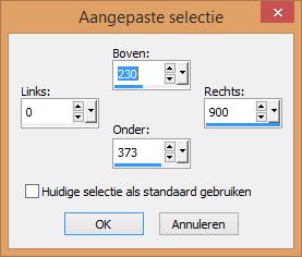 aangepaste selectie 2